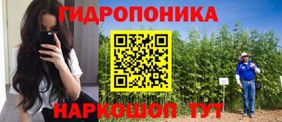 спиды Кохма